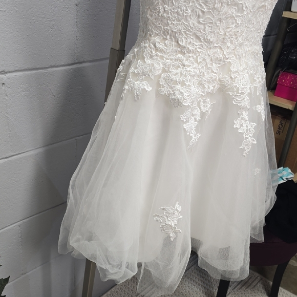 Elegant White Lace Wedding Dress - Picture 11 of 16